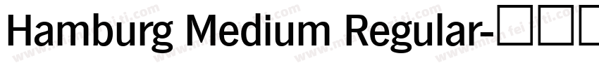Hamburg Medium Regular字体转换